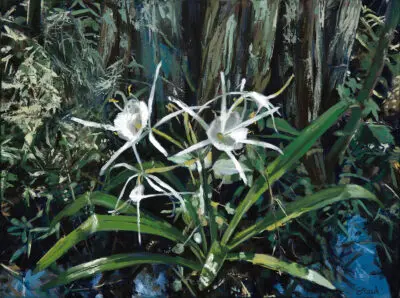 "Swamp Lillies" Matted Print